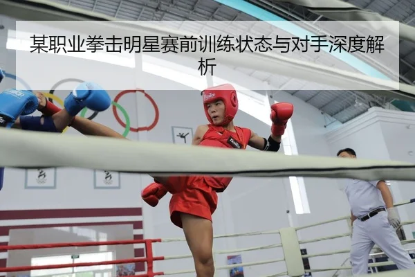 某职业拳击明星赛前训练状态与对手深度解析